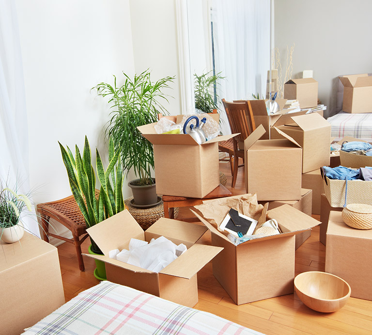 Safi Movers